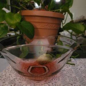 Pink crystal bowl   Frosted 10" bowl